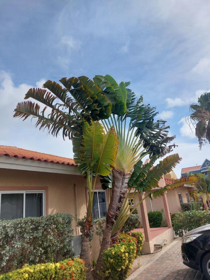Caribbean Beach Resort Blenchi Curacao Willemstad Zewnętrze zdjęcie