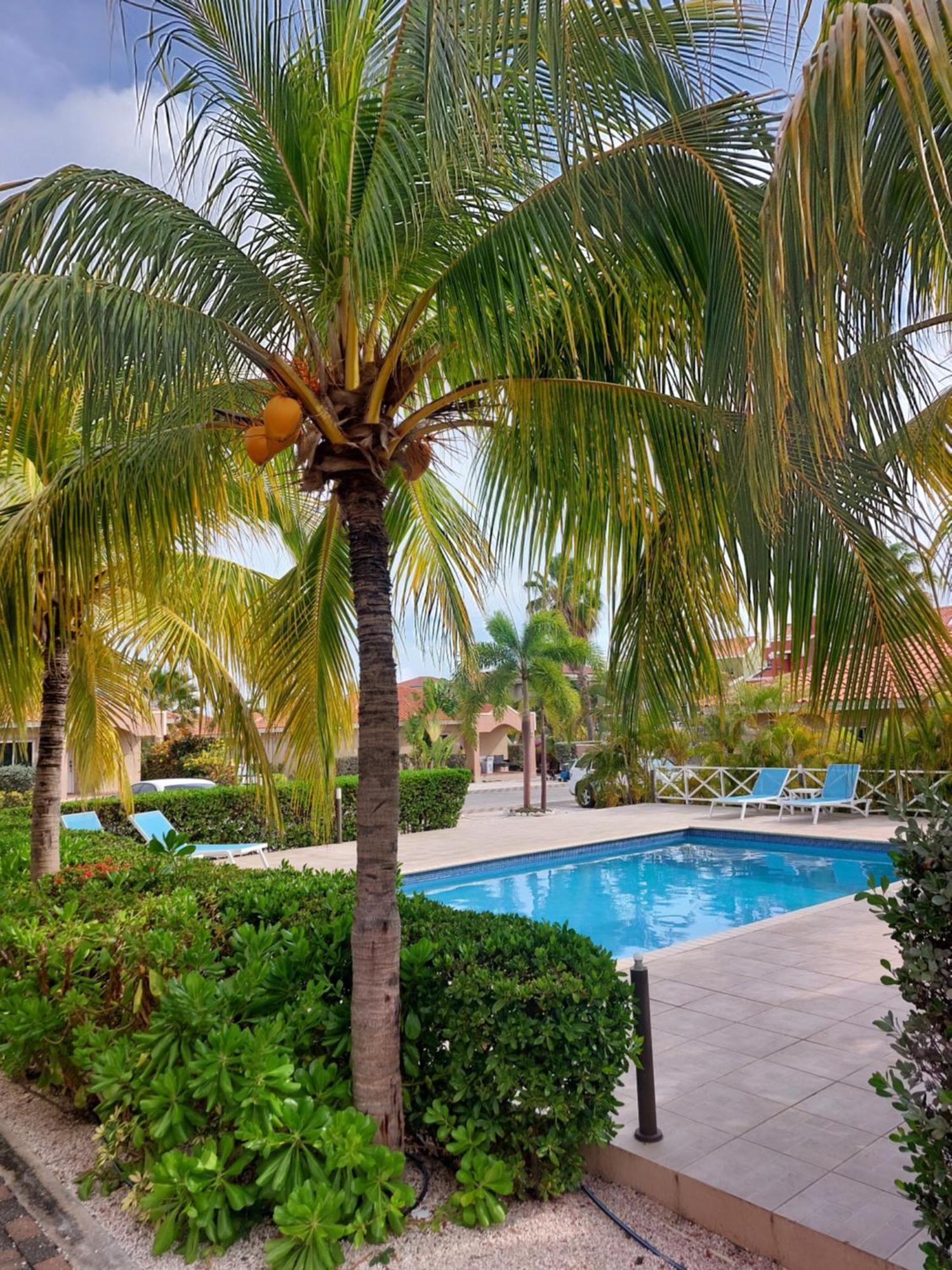 Caribbean Beach Resort Blenchi Curacao Willemstad Zewnętrze zdjęcie
