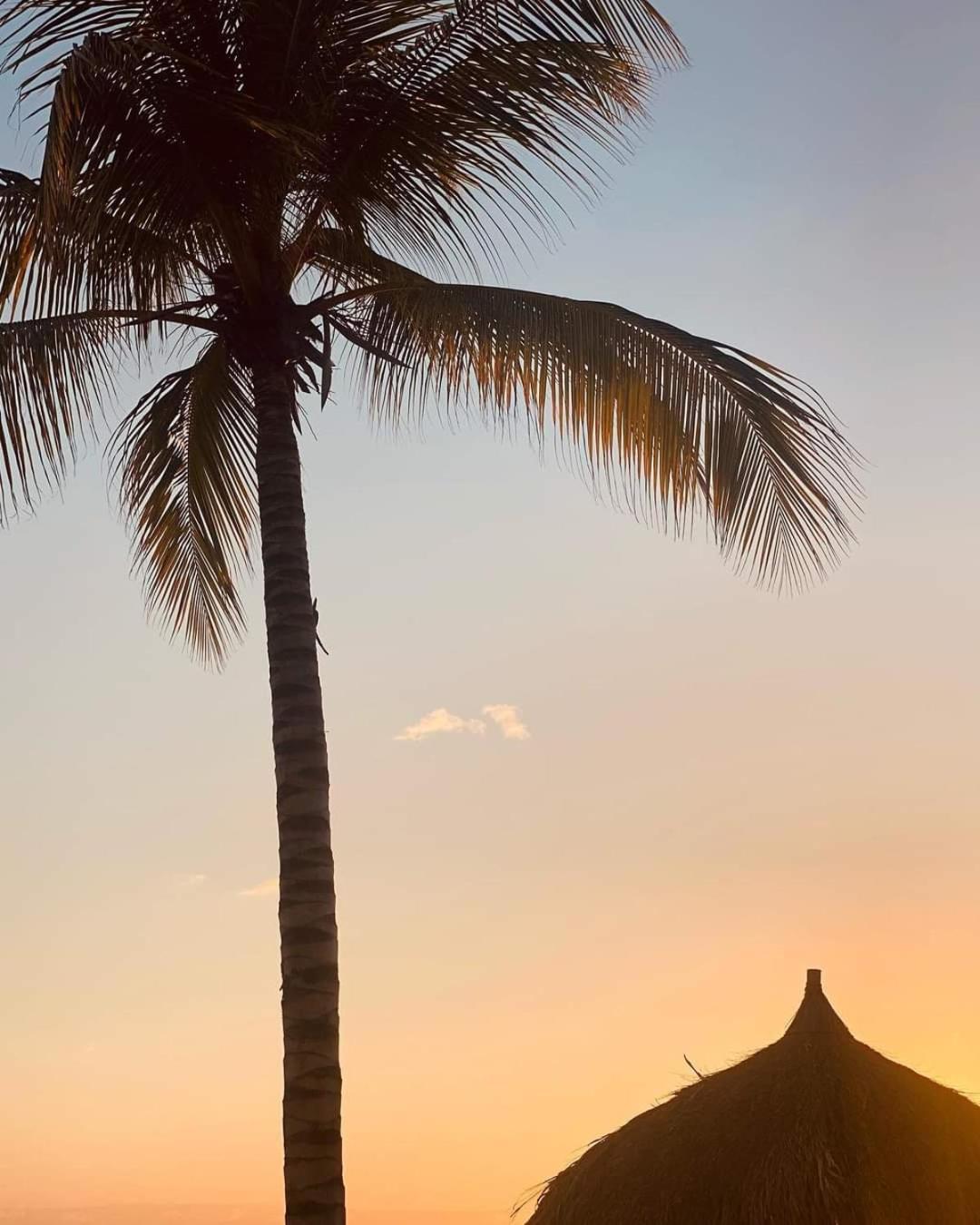 Caribbean Beach Resort Blenchi Curacao Willemstad Zewnętrze zdjęcie