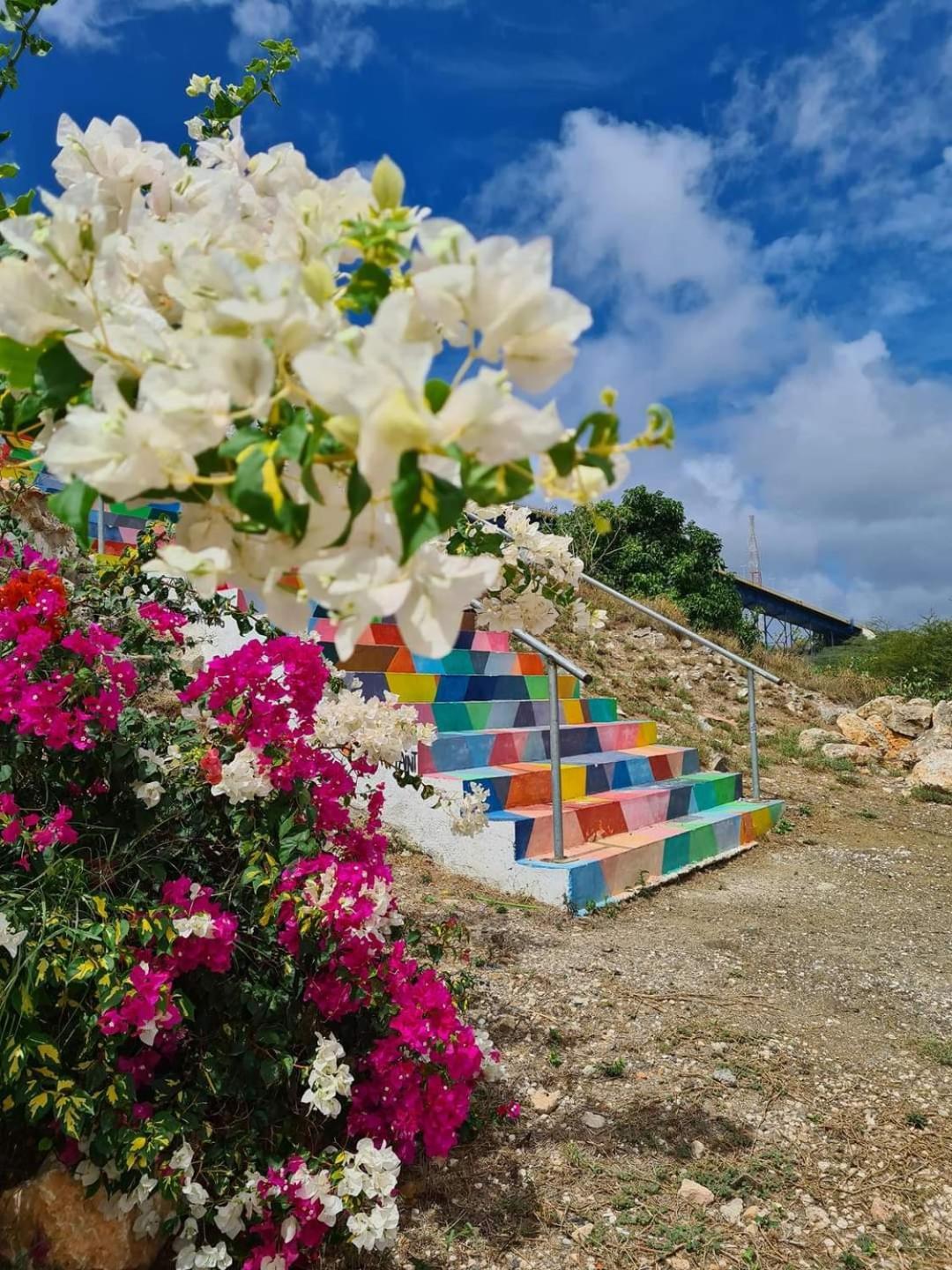 Caribbean Beach Resort Blenchi Curacao Willemstad Zewnętrze zdjęcie